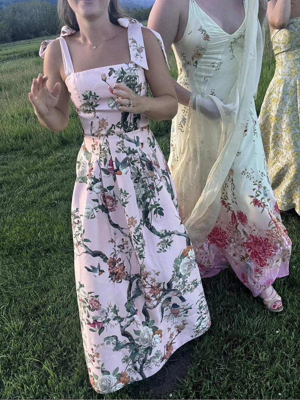 Alice & Olivia Hana Maxi Dress Size 0